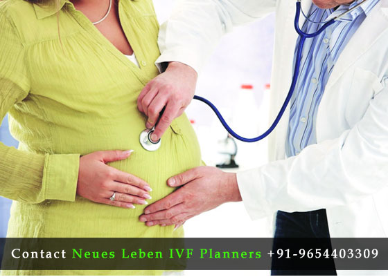 IVF-Specialist